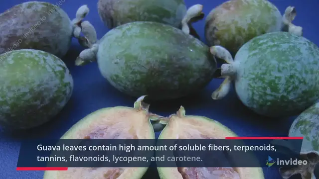 'Video thumbnail for Health Benefits Of Guava Leaves For Weight Loss'