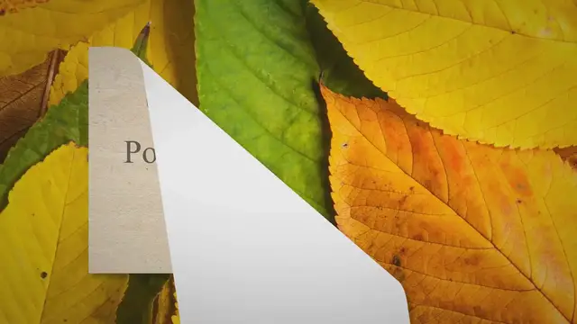 'Video thumbnail for 9 Poems to Make Her Feel Beautiful: Discover the words to make her feel cherished'