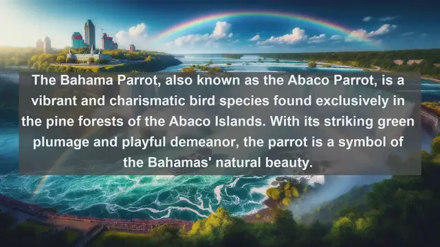 Video thumbnail for Exploring Bahamas' Natural Treasures: Top 10 Native Animals in the Bahamas