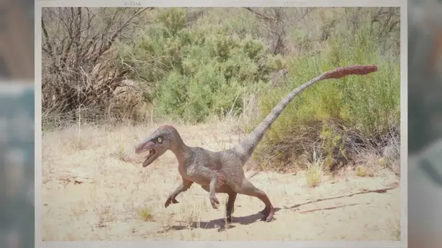 Video thumbnail for How Tall Were Velociraptors?