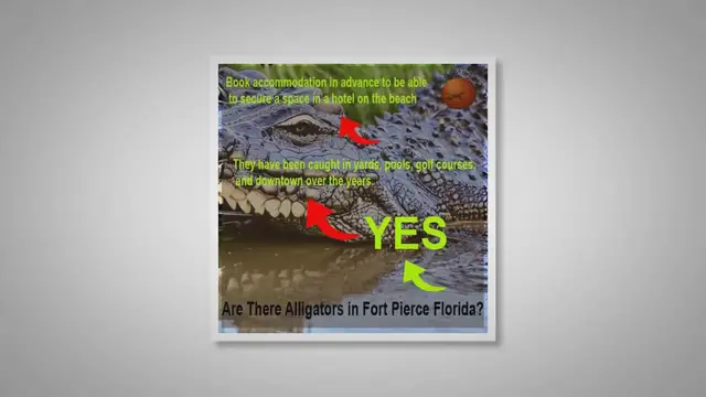 Video thumbnail for Beach Vacations