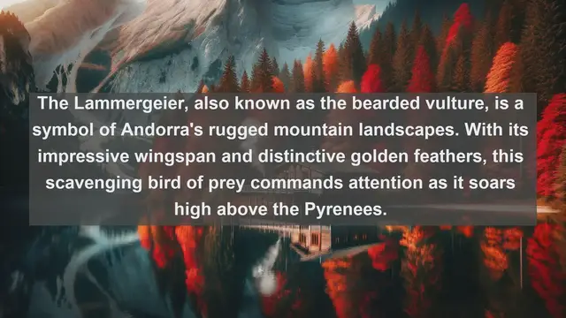 Video thumbnail for Wings Over Andorra: Discover the Top 10 Native Birds of the Pyrenean Paradise