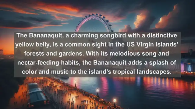 Video thumbnail for Exploring the Wild Wonders of US Virgin Islands: Top 10 Native Animals