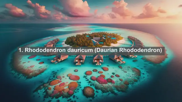 Video thumbnail for Unveiling Russia's Natural Splendor: Top 10 Native Flora You Must See