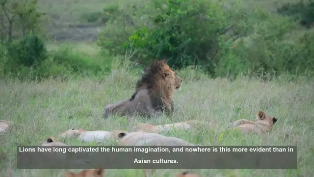 Video thumbnail for 10 Lion Symbols in Asian Cultures: Meanings and Significance