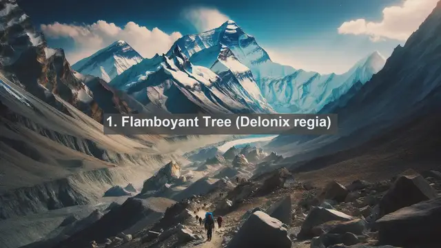 Video thumbnail for Exploring Saint Kitts and Nevis: Top 10 Native Plants Revealed!