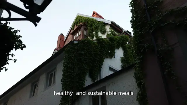 Video thumbnail for Sweetgreen Menu  Price