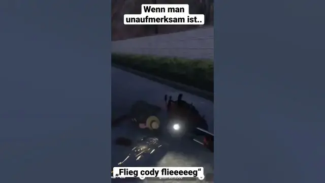 Video thumbnail for Wir lernen fliegen! - #twitch #twitchclips #twitchstreamer #twitchtv #lustigevideos #statev #gta5