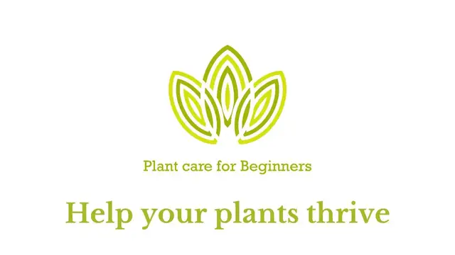 Video thumbnail for Plant care for Beginners: Teaching you to help your plants thrive