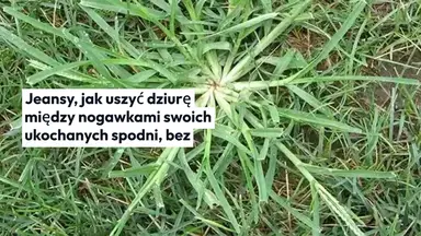 'Video thumbnail for Jak zszyć dziurę między nogawkami dżinsów bez śladu: Przygotuj igłę'