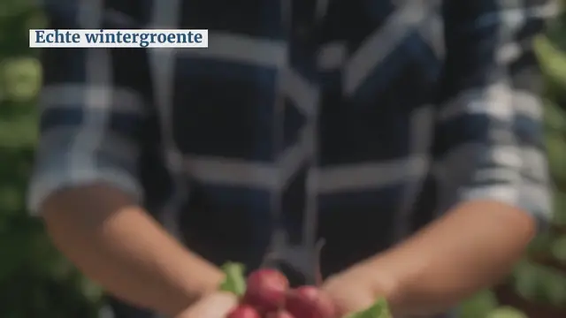 Video thumbnail for Savooie kool gratin