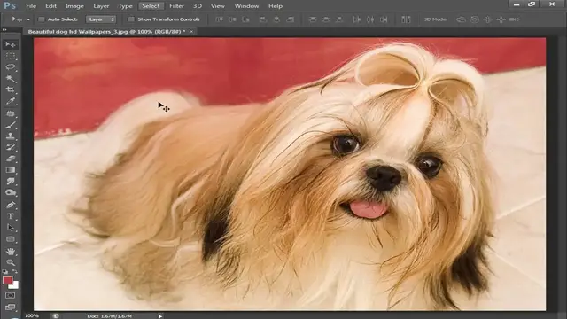 'Video thumbnail for دورة تعليم الفوتوشوب للمبتدئين الدرس 89 Select Menu 1'
