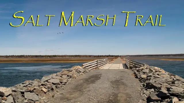 Video thumbnail for Salt Marsh Trail. Cole Harbour, Nova Scotia