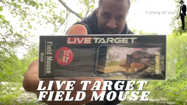 Video thumbnail for Live Target Field Mouse Review - Rat Lure Fishing Tips - Topwater Rat Lure In Lily Pads and Trees
