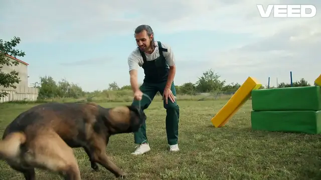 Video thumbnail for Discover the Amazing Intelligence of Pigs!