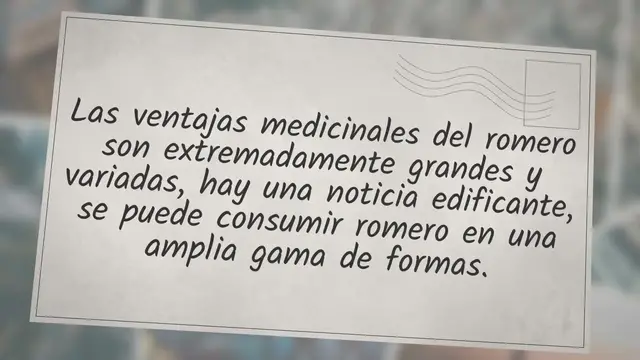 Video thumbnail for 10 RAZONES PORQUE DEBES CONSUMIR ROMERO Y COMO TOMARLO