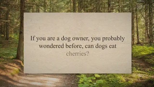 'Video thumbnail for Find Out Can Dogs Eat Cherries?'