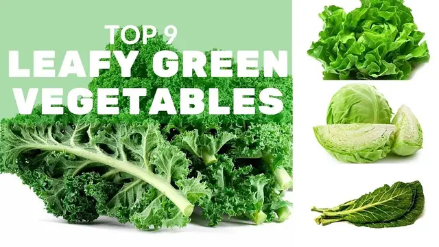 Video thumbnail for Top 9 Leafy Green Vegetables and Why You Should Eat Them