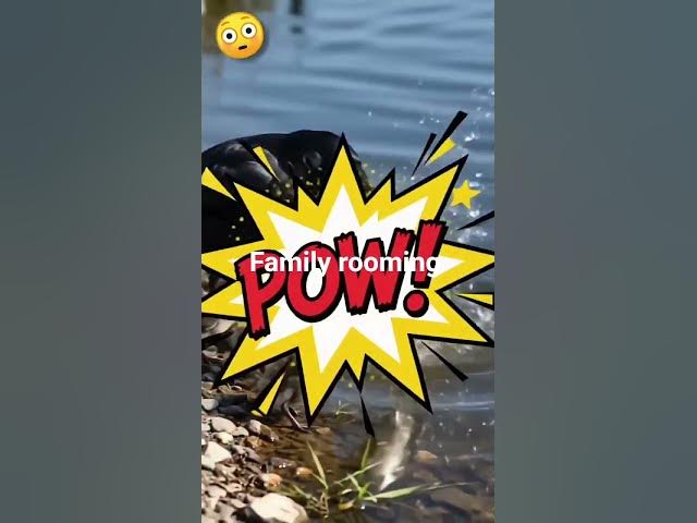 Video thumbnail for 02 June 2026