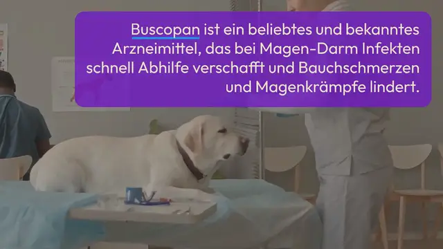 Video thumbnail for Buscopan für Hunde: Anwendung, Wirkung & Dosierung (2024)