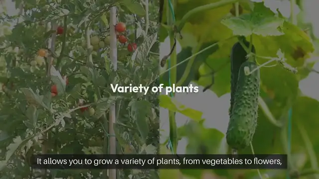 Video thumbnail for How to Start a Vertical Outdoor Garden