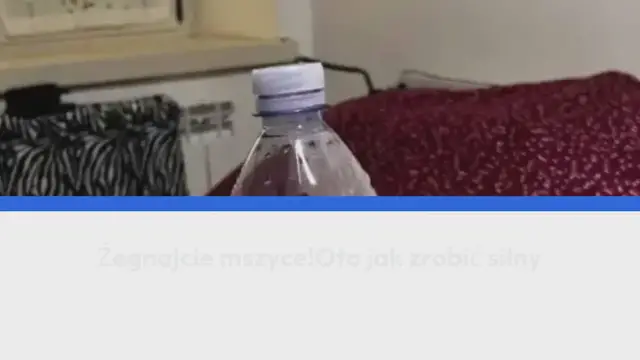 Video thumbnail for Żegnajcie mszyce! Oto jak zrobić silny pestycyd bez wydawania 1 centa!