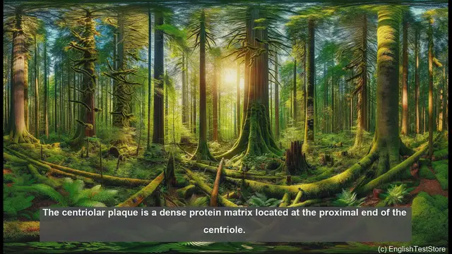 Video thumbnail for Centriole in biology