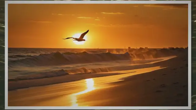 Video thumbnail for Summer Tan