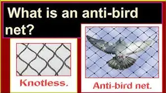 Video thumbnail for What is an anti-bird net?/What is balcony safety net?