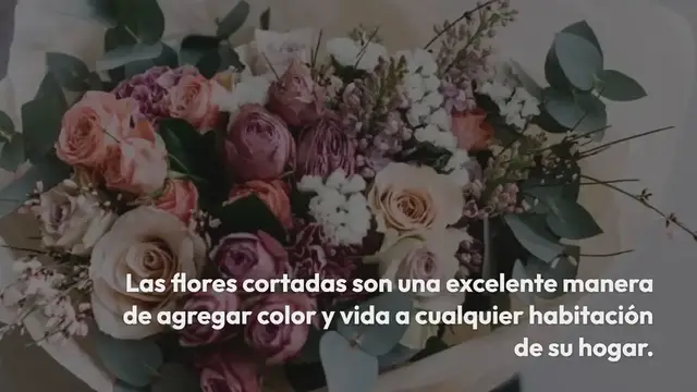 Video thumbnail for 5 consejos de floristas para que las flores cortadas duren más