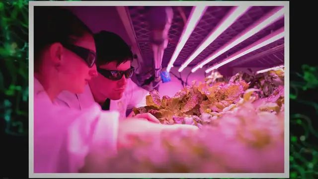 Video thumbnail for Unlocking Nature's Potential: Boosting Crop Productivity Beyond Imagination