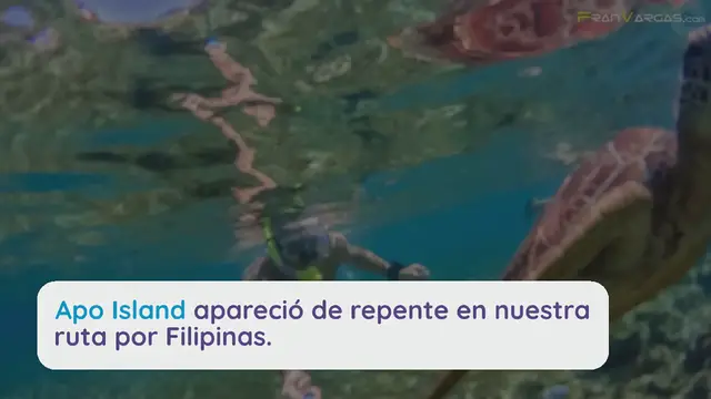 Video thumbnail for Nadando con Tortugas en Apo Island, Filipinas