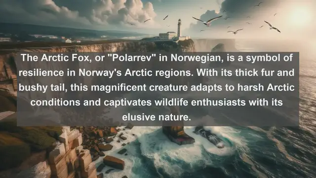 Video thumbnail for Exploring Norway's Natural Wonders: Top 10 Native Animals You Must See