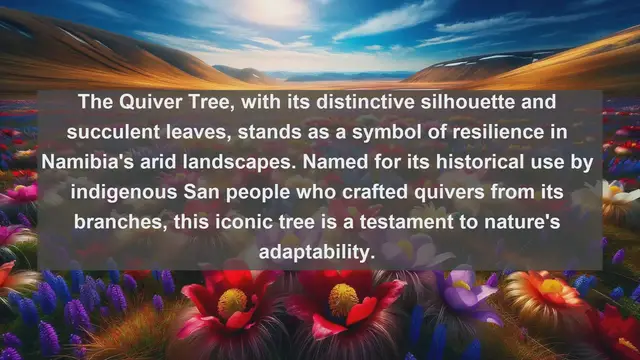 Video thumbnail for Exploring Namibia's Natural Marvels: Top 10 Native Flora