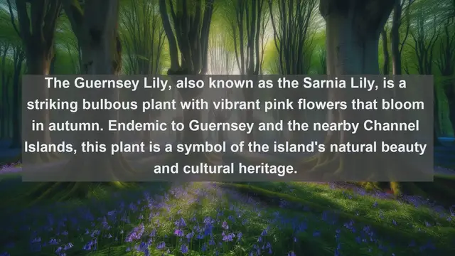 Video thumbnail for Exploring Guernsey's Botanical Treasures: Top 10 Native Plants Revealed