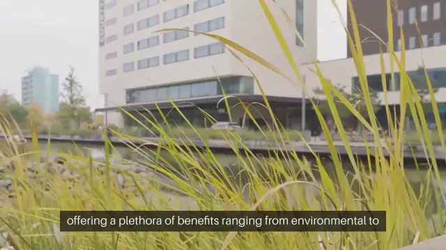 Video thumbnail for Rooftop Gardening Ideas For Urban Areas