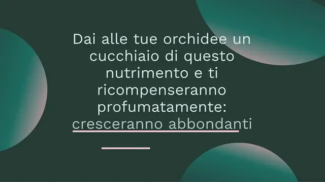 Video thumbnail for Un cucchiaino direttamente nel vaso e l’ORCHIDEA fiorisce quasi NON STOP: niente muffe, niente malattie e ho 5 volte più fiori!