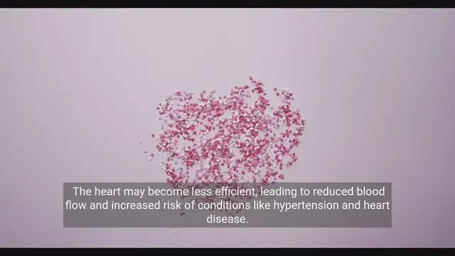 Video thumbnail for Aging and the Cardiovascular System