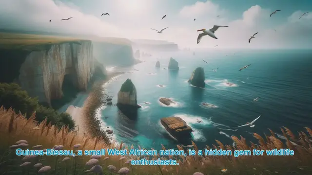 Video thumbnail for Discover Guinea-Bissau's Top 10 Wildlife Destinations