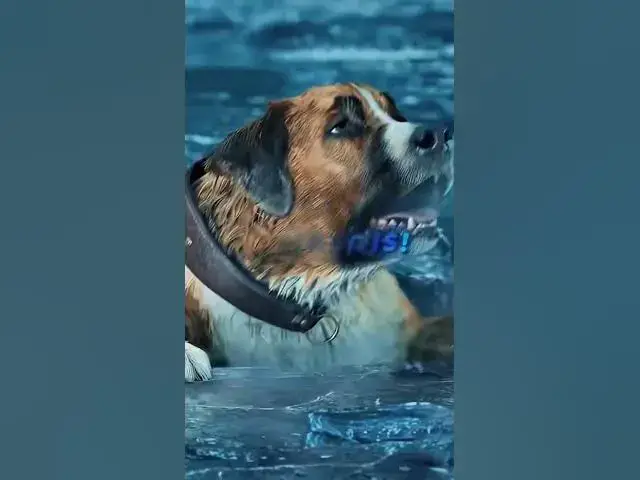 Video thumbnail for if you believe in God good will happen 🙏🙏🙏