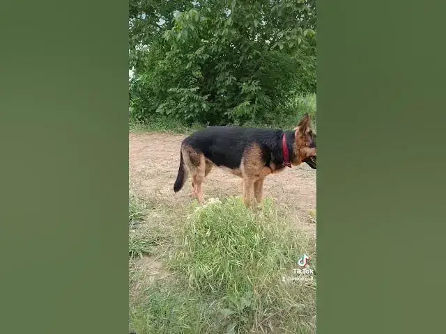 Video thumbnail for 27 mai 2024