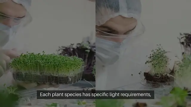 Video thumbnail for Sunlight Criteria For Planting