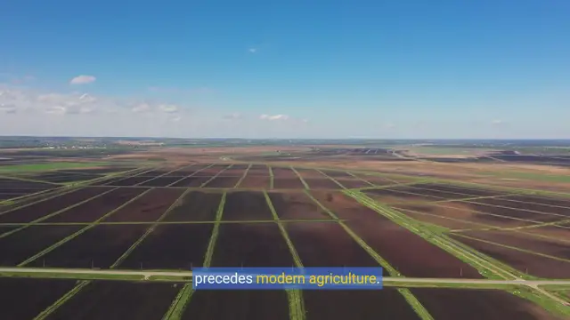 Video thumbnail for Green Together: Unlocking the Secrets of Companion Planting