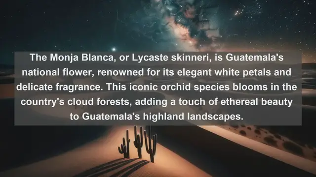 Video thumbnail for Exploring Guatemala's Natural Treasures: Top 10 Native Flora You Can't Miss