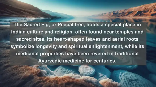 Video thumbnail for Discover India's Botanical Treasures: Top 10 Native Plants You Need to See