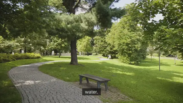 Video thumbnail for Drought-Resistant Garden Plants To Grow