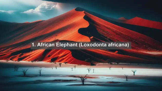 Video thumbnail for Discovering Uganda's Wildlife Treasures: Top 10 Native Fauna Species