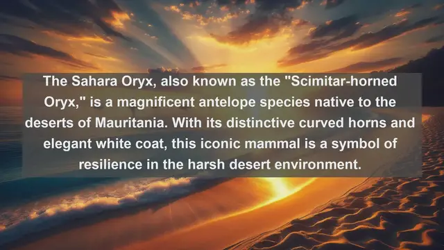 Video thumbnail for Top 10 native fauna in Mauritania