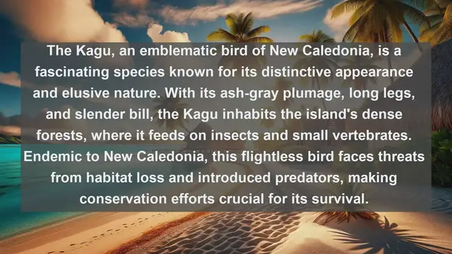 Video thumbnail for Discovering New Caledonia's Natural Treasures: Top 10 Native Animals