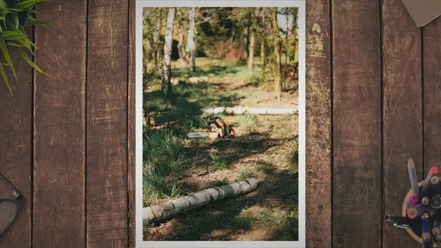 Video thumbnail for Stihl 194T vs 201T: Which Chainsaw is Right for You?